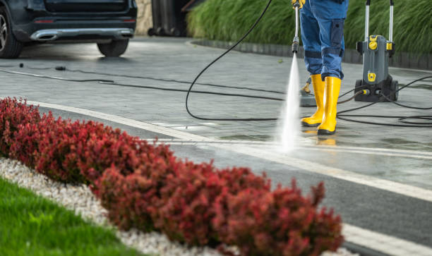 Best Roof Power Washing Services  in Ambler, PA